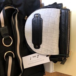 Alexandra Satine hand bag .  Brand New
